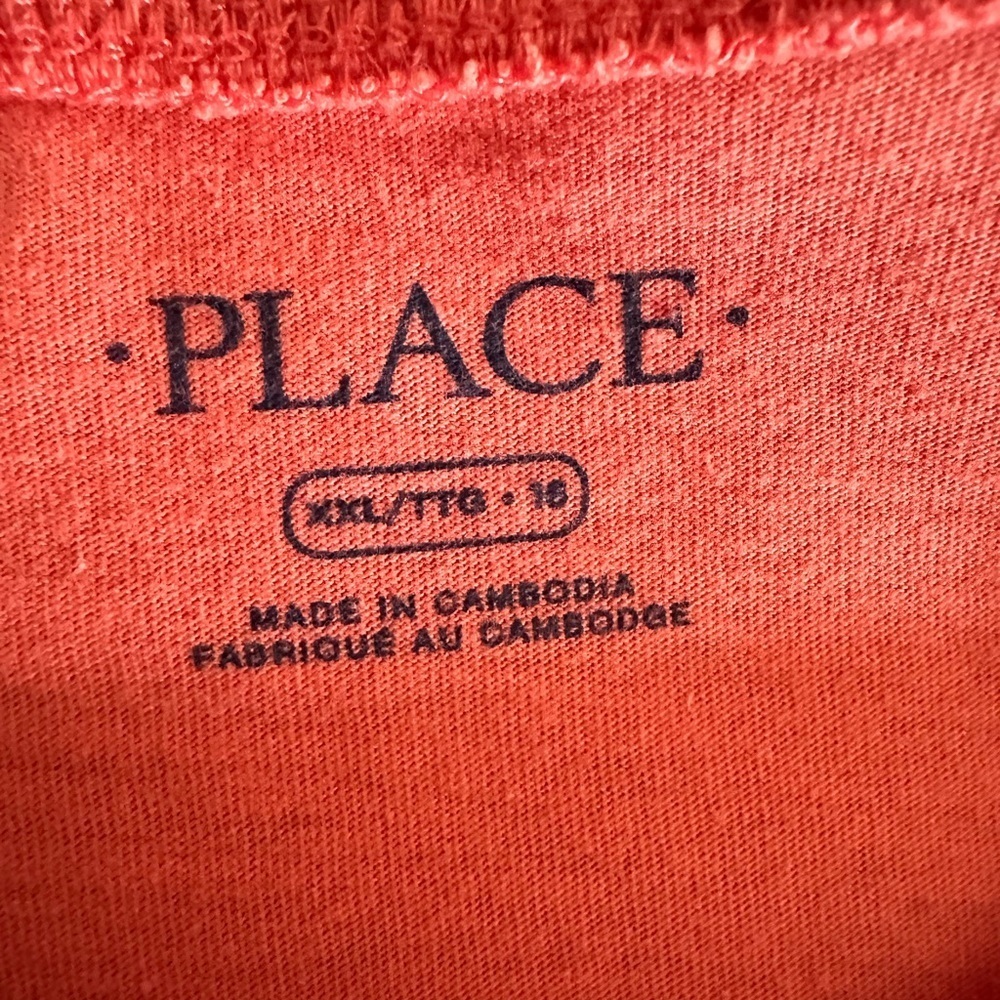 The Children’s Place Boys Dinosaur Graphic T-Shirt|Orange Long Sleeve Tee(1183) - Picture 10 of 11
